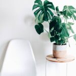 Featured image placeholder 16:9
